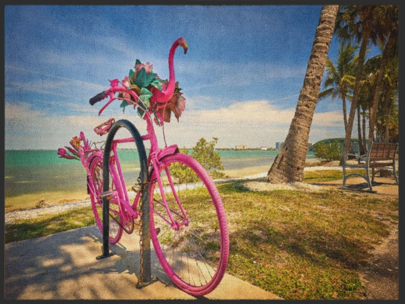 Fussmatte Fahrrad 4992