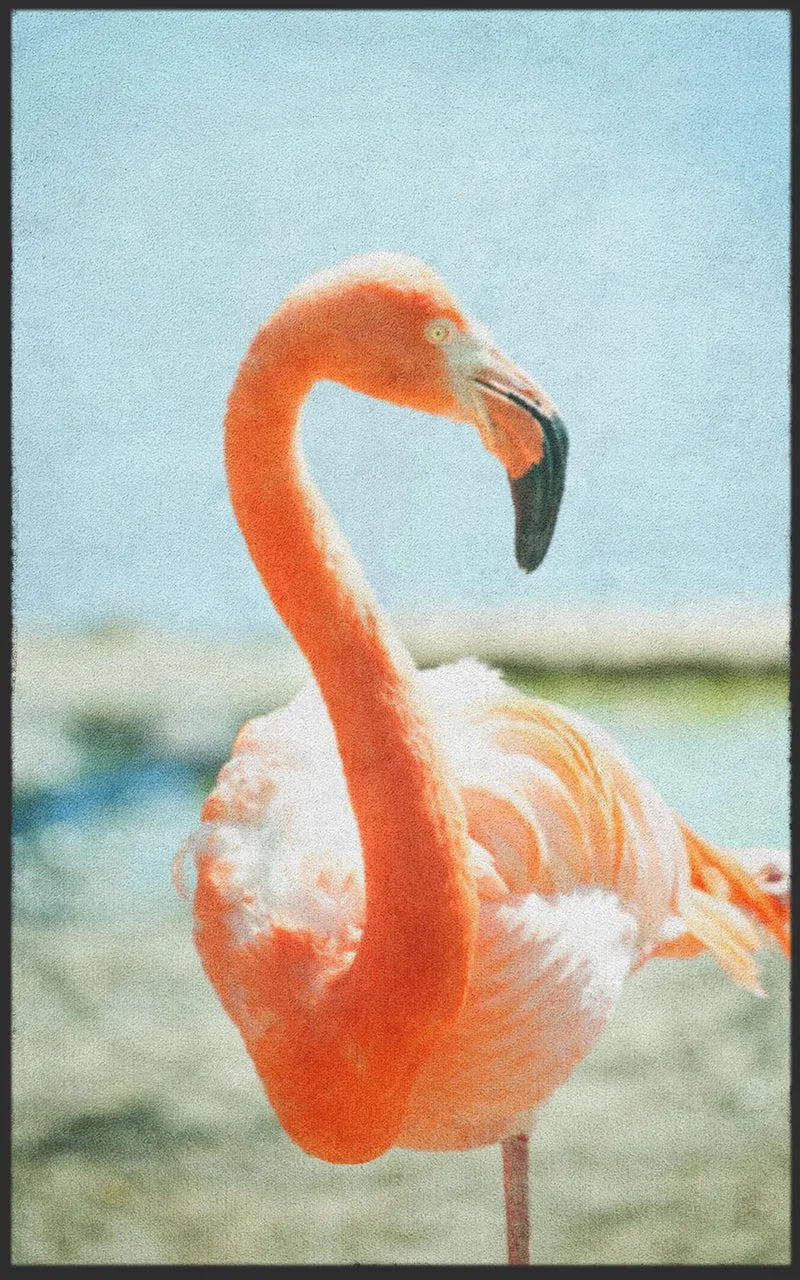 Fussmatte Flamingo 7780