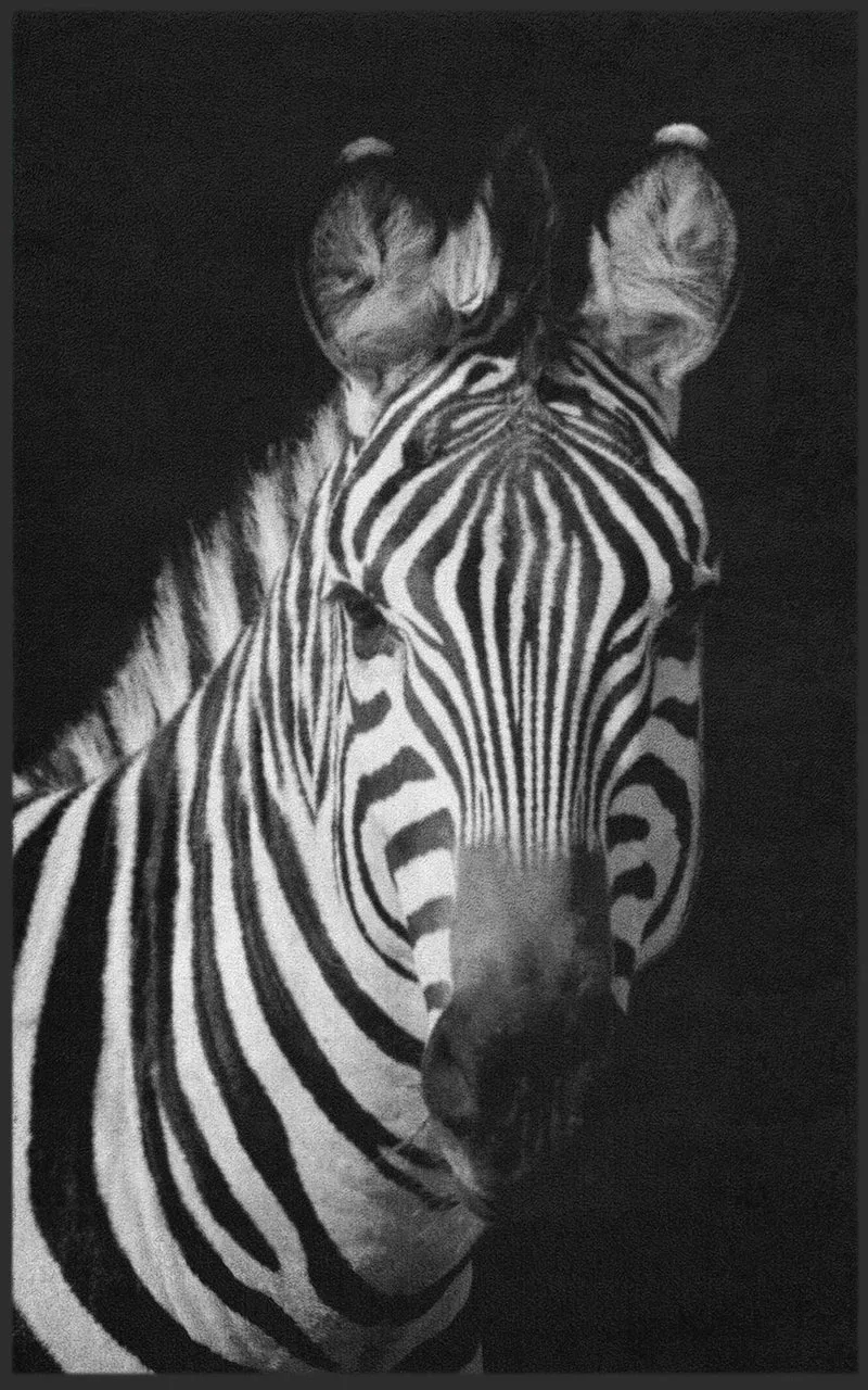 Fussmatte Zebra 7769