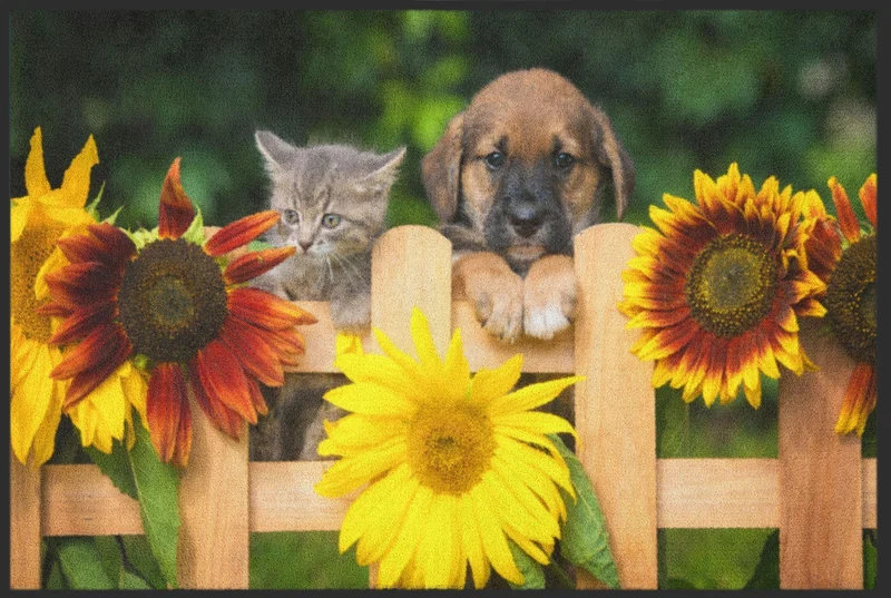 Fussmatte Hund und Katze 4534