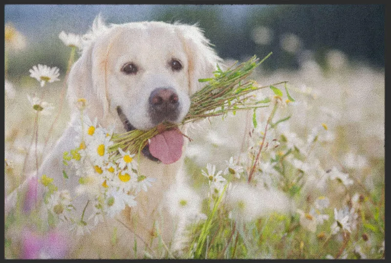 Fussmatte Hund 4532