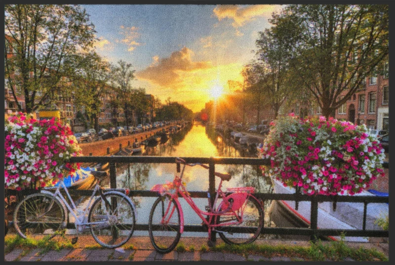 Fussmatte Holland 4476