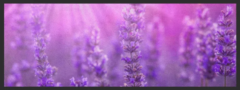 Küchenteppich Lavendel 4436