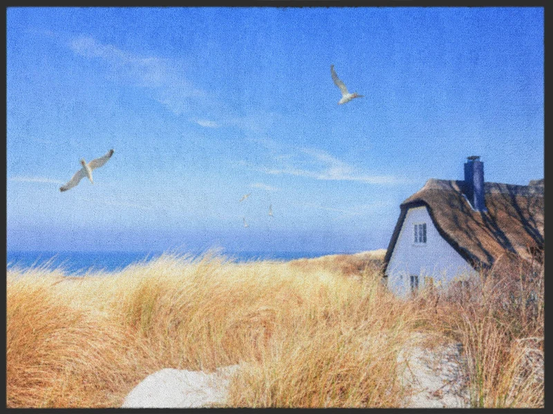 Fussmatte Sylt 4954