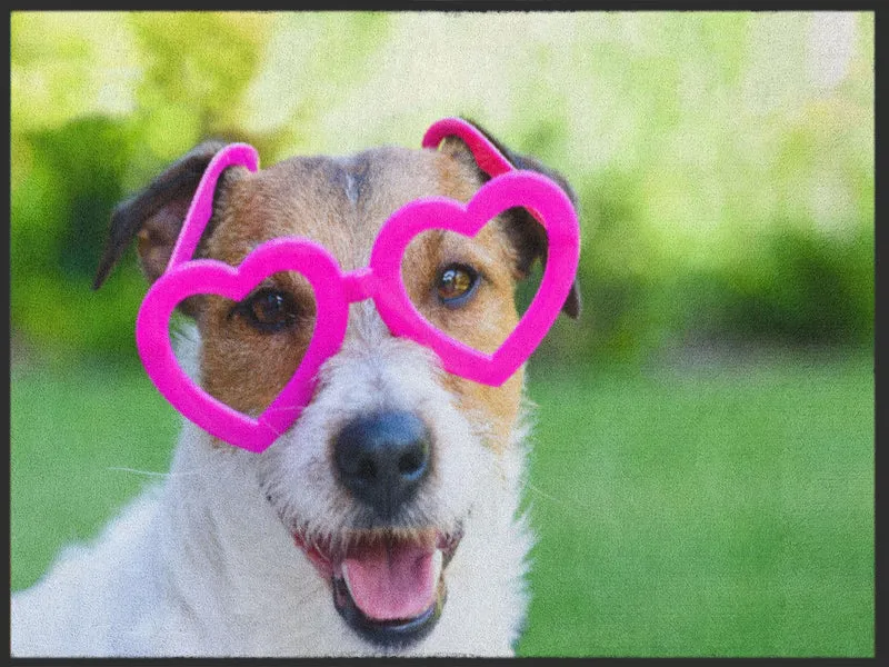 Fussmatte Hund 4882
