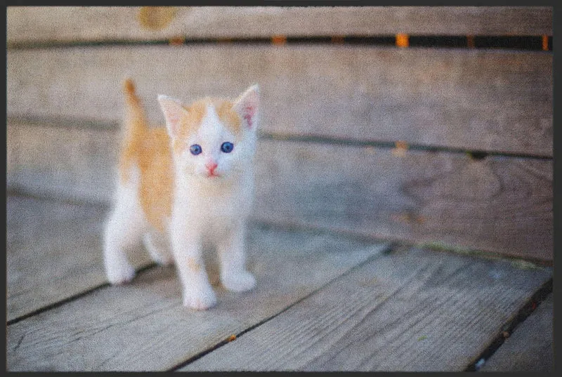 Fussmatte Katze 4818