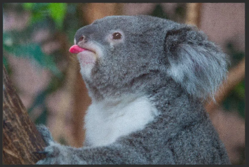 Fussmatte Koala 4813