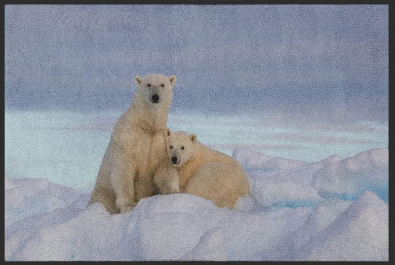 Fussmatte Eisbär 4809