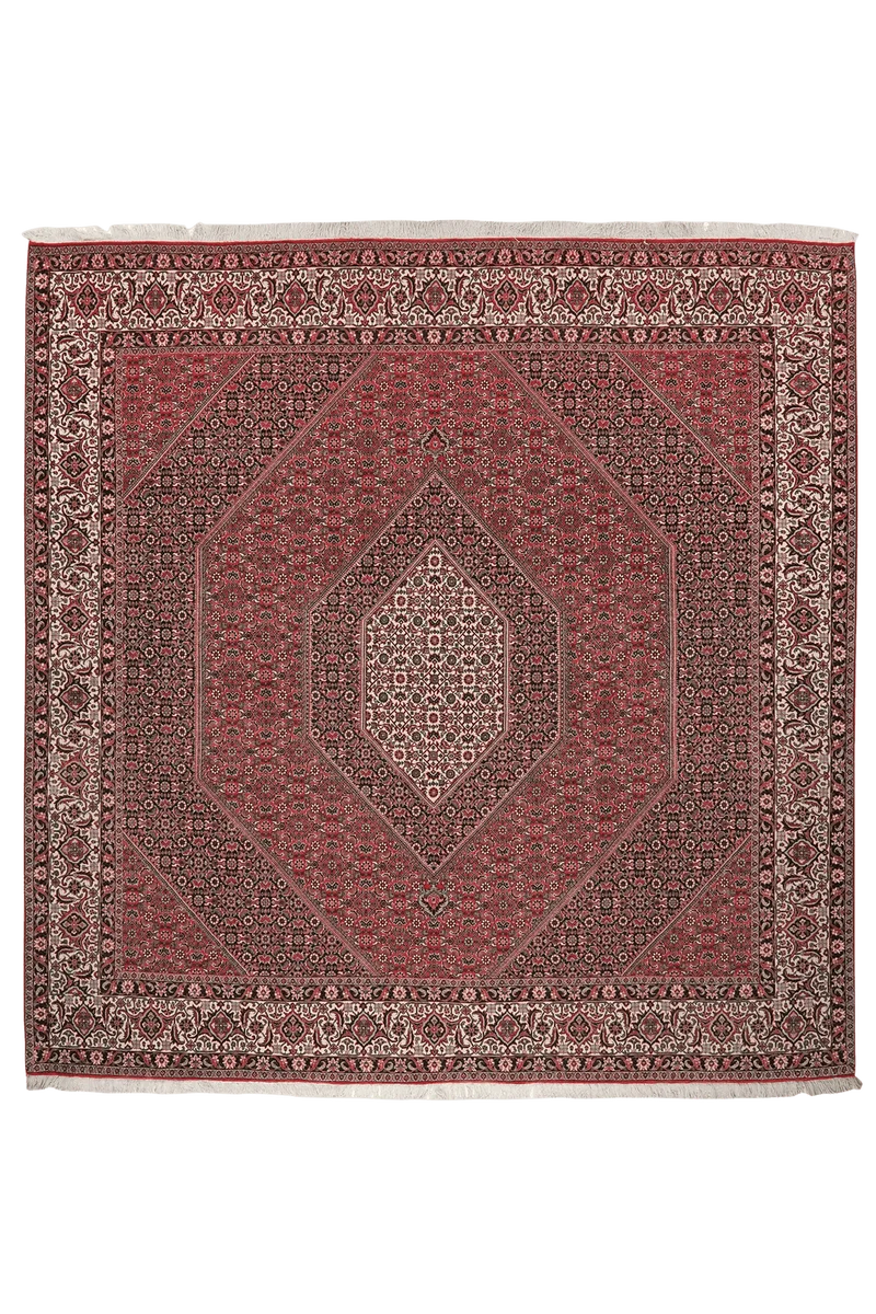 Bidjar · Handgeknüpft – Rot, 259x255 cm