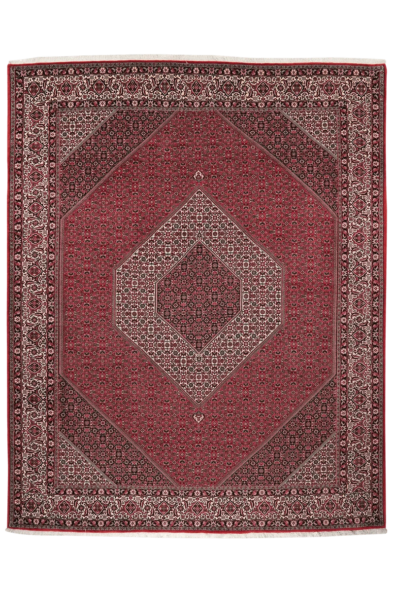 Bidjar · Handgeknüpft – Rot, 303x248 cm
