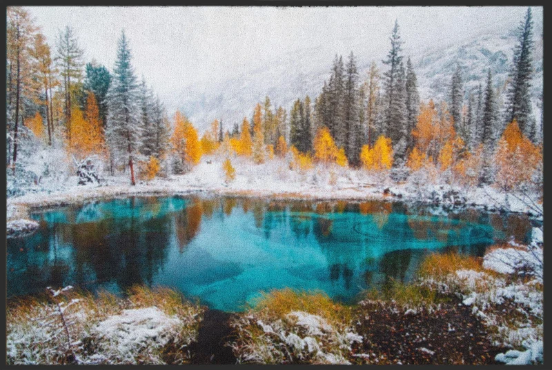 Fussmatte Natur 6339