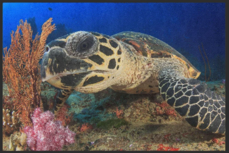 Fussmatte Schildkröte 6325