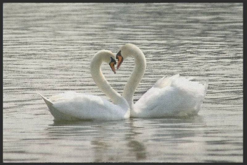 Fussmatte Schwan 4193