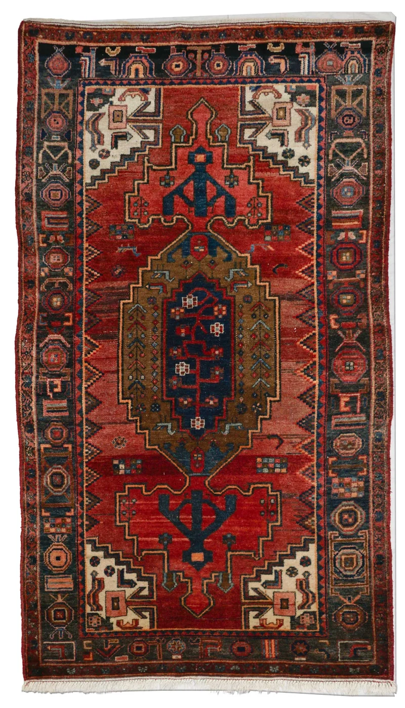 Koliai | 237 cm x 135 cm | Nr. Z-4231