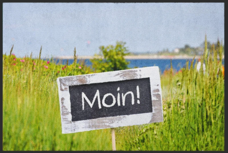 Fussmatte Moin 4759