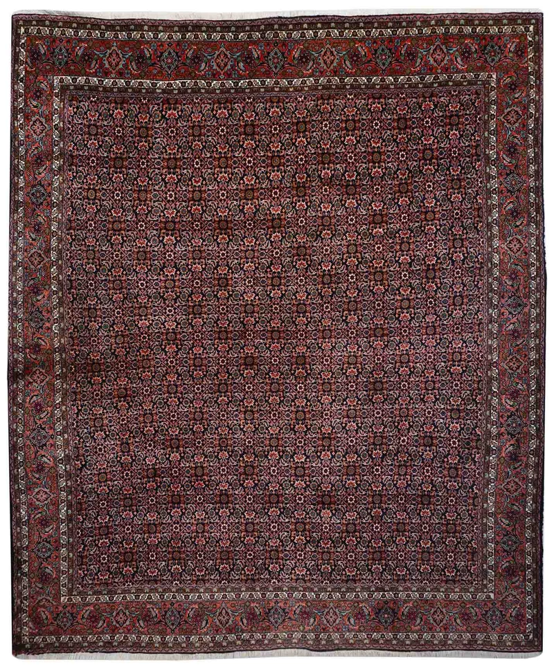 Bidjar | 295 cm x 252 cm | Nr. Z-2606