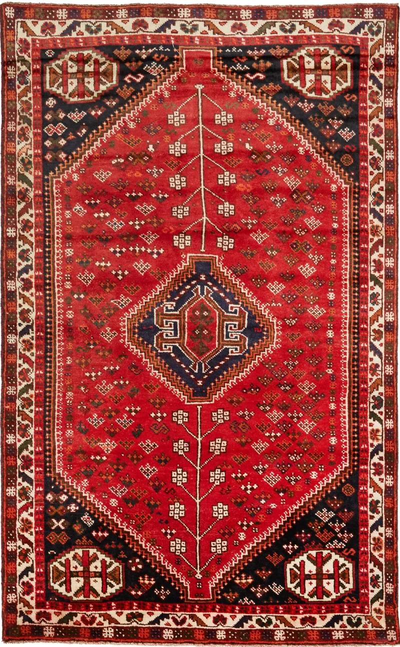 Shiraz | 245 cm x 152 cm | Nr. 12-459153