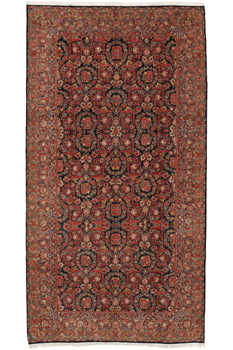 Mohadjeran · Handgeknüpft – 544x314 cm