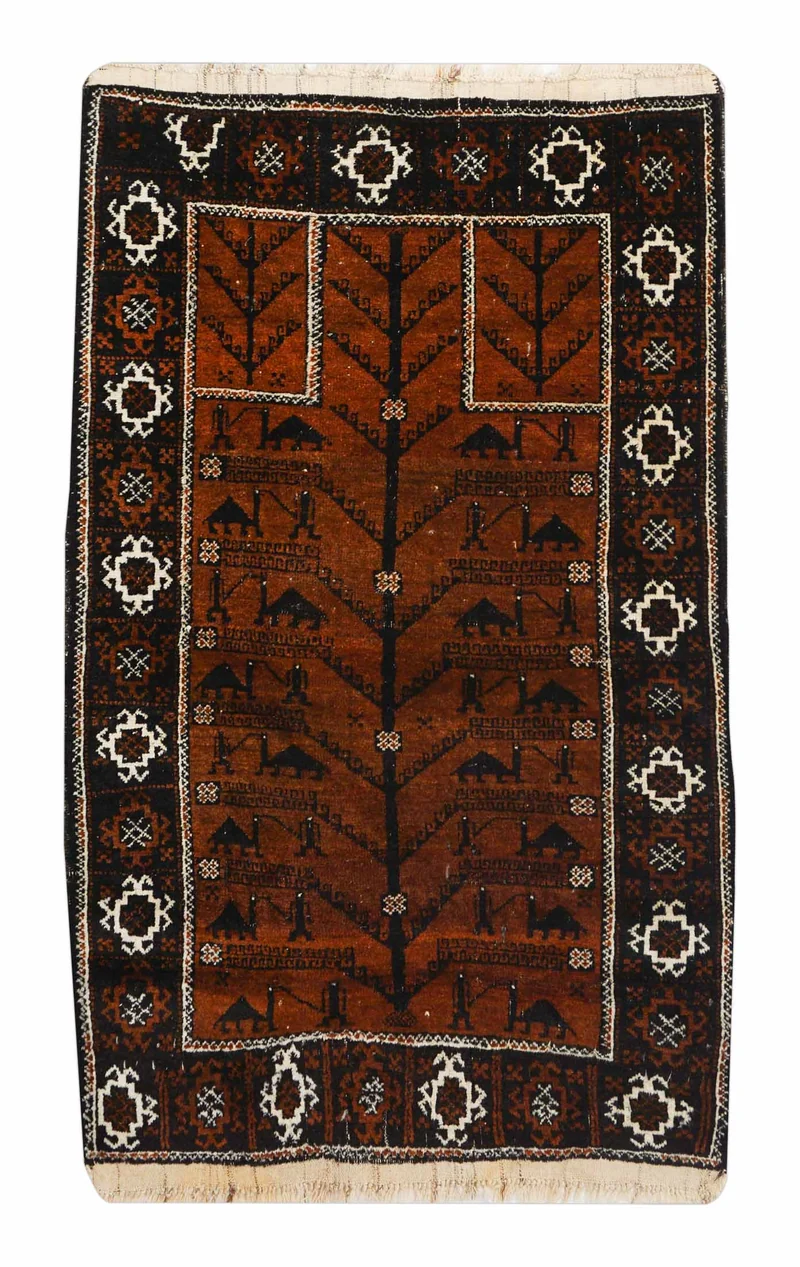 Belutsch | 140 cm x 87 cm | Nr. Z-1574