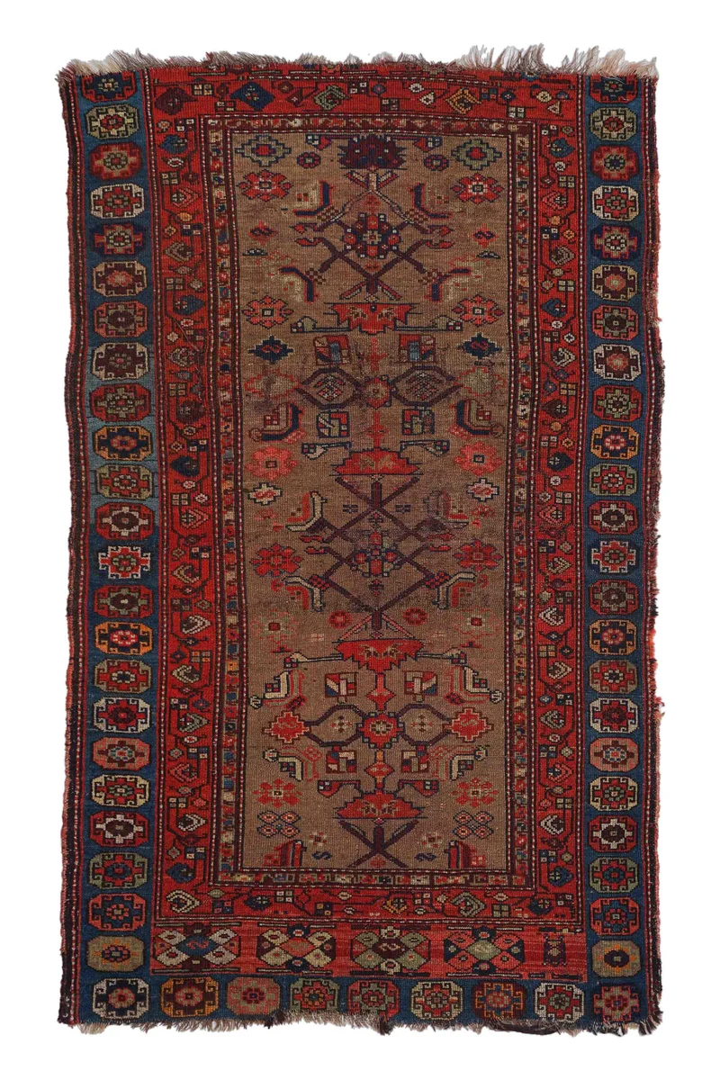 Alter Lori | 174 x 106 cm | Nr. 15561