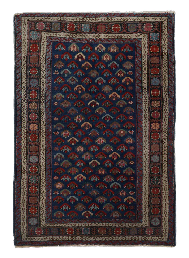 Antiker Schirwan | 174 x 120 cm | Nr. 16894