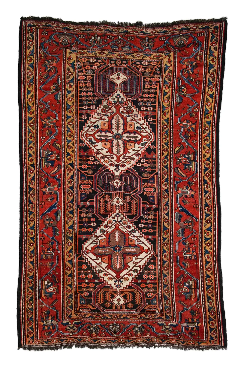 Alter Bakhtiari | 285 x 180 cm | Nr. 19166