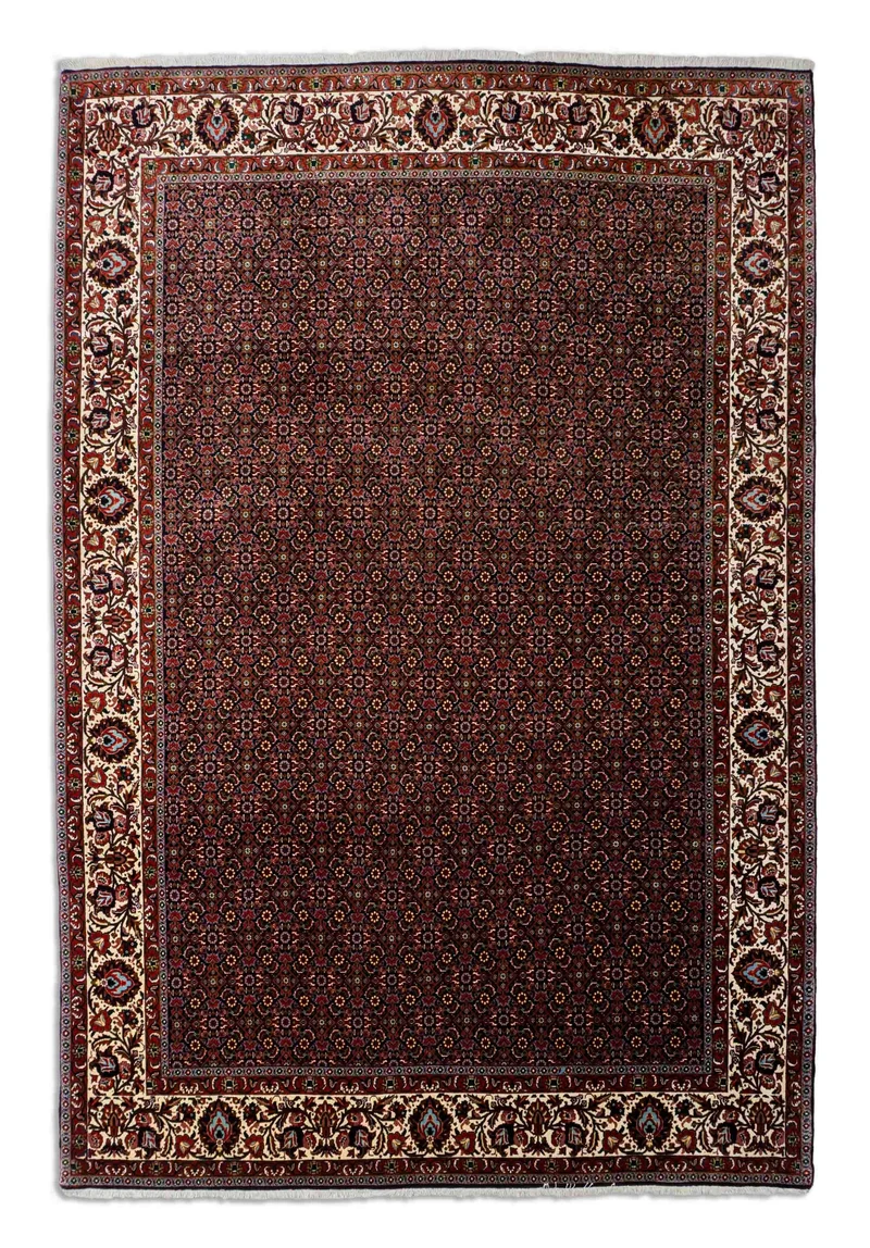 Bidjar | 309 x 207 cm | Nr. 7567