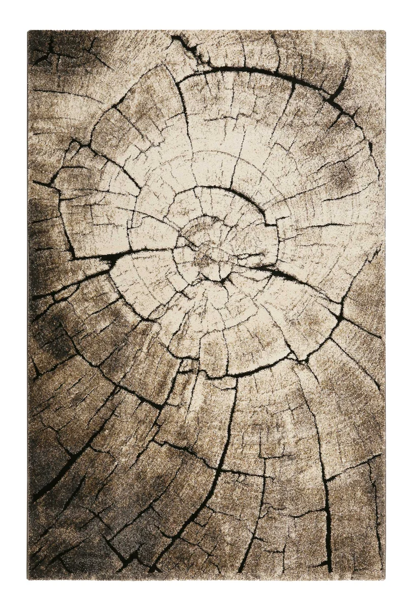 WECONhome Kurzflor Teppich "Wild Oak "holz braun