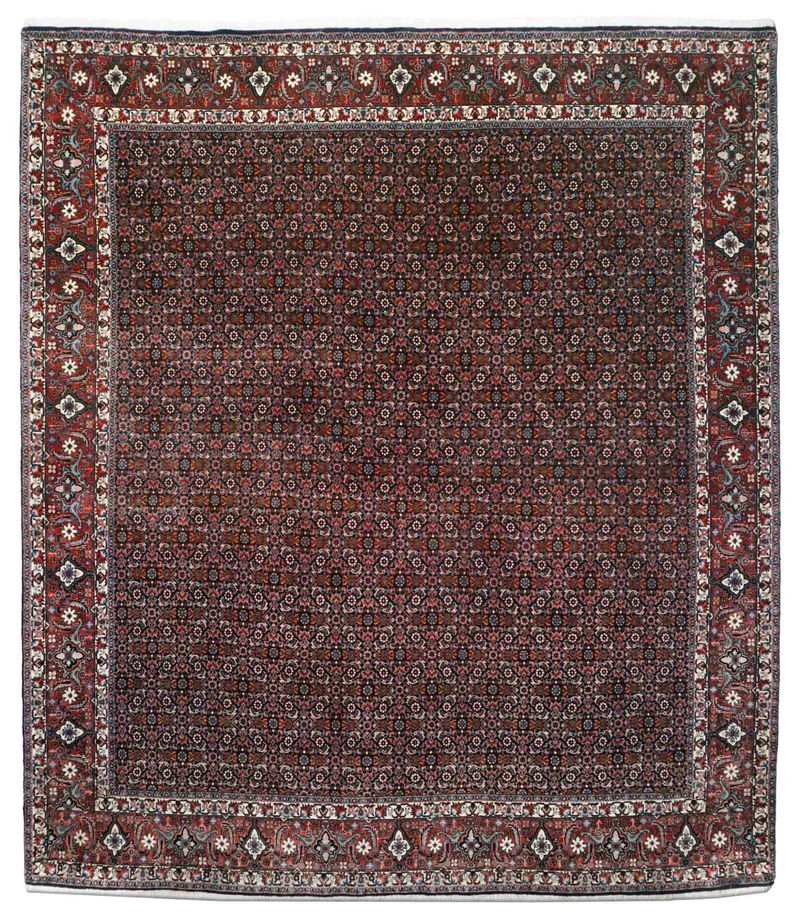 Bidjar | 290 cm x 251 cm | Nr. Z-4481