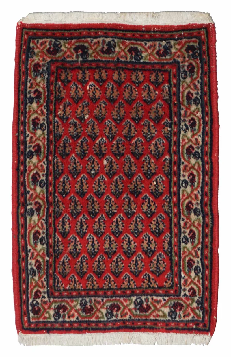 Indischer Sarough Mir | 61 cm x 41 cm | Nr. Z-4475