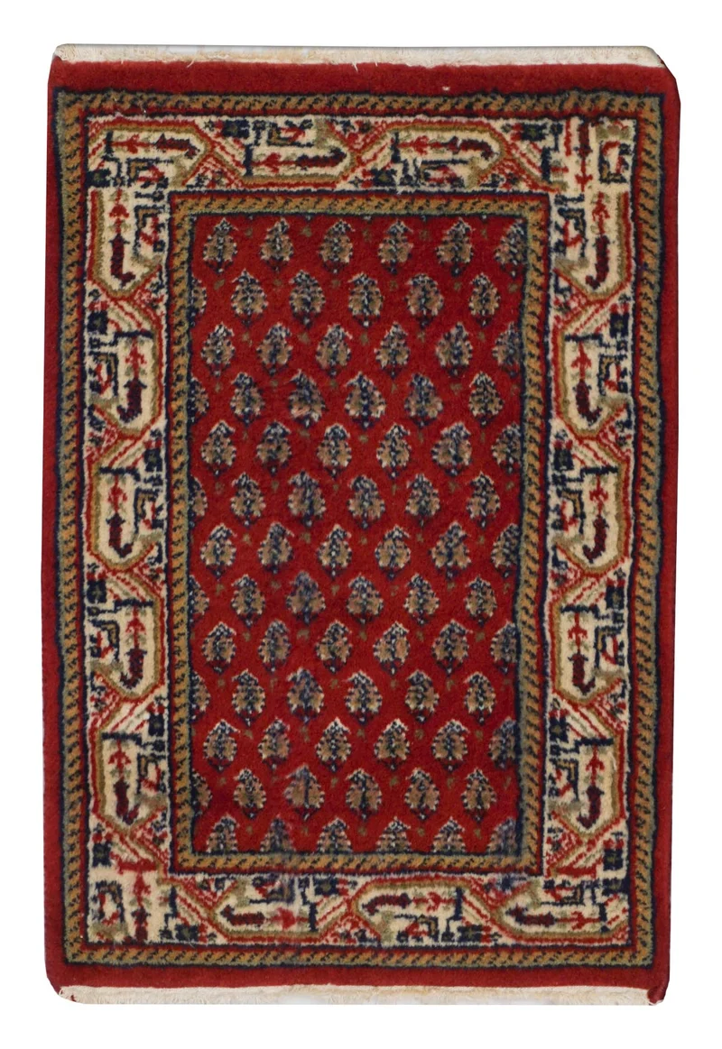 Indischer Sarough Mir | 59 cm x 40 cm | Nr. Z-4473