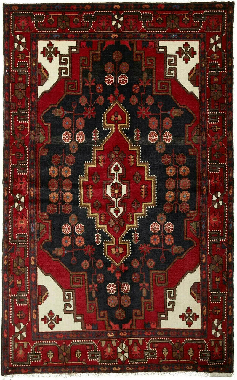 Hamadan | 224 cm x 141 cm | Nr. 12-464634