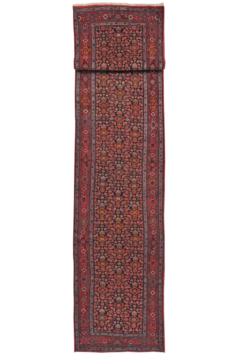 Bidjar · Handgeknüpft – Blau, 504x93 cm
