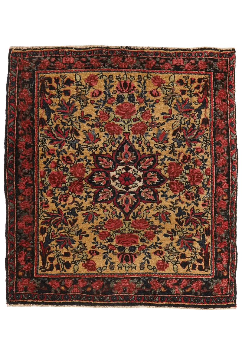 Bidjar · Handgeknüpft – Beige, 76x70 cm