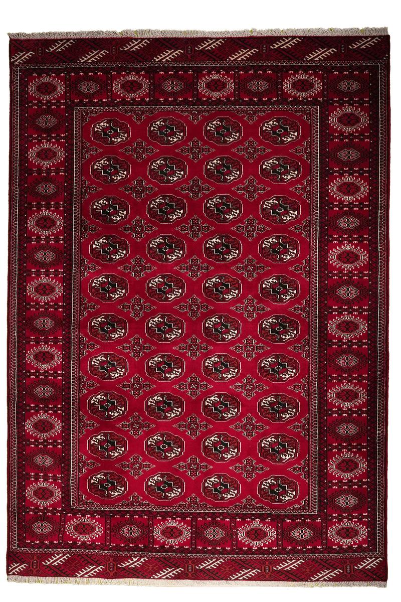 Turkman · Handgeknüpft – Rot, 282x198 cm