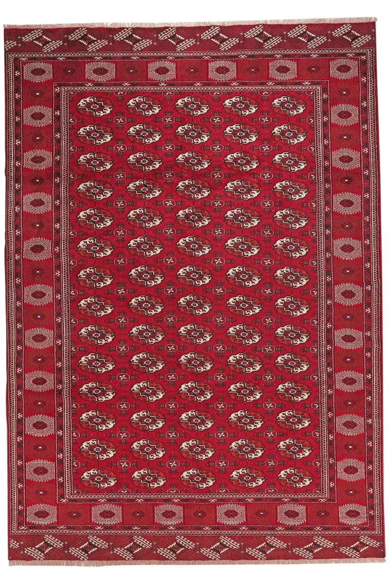 Turkman · Handgeknüpft – Rot, 333x234 cm