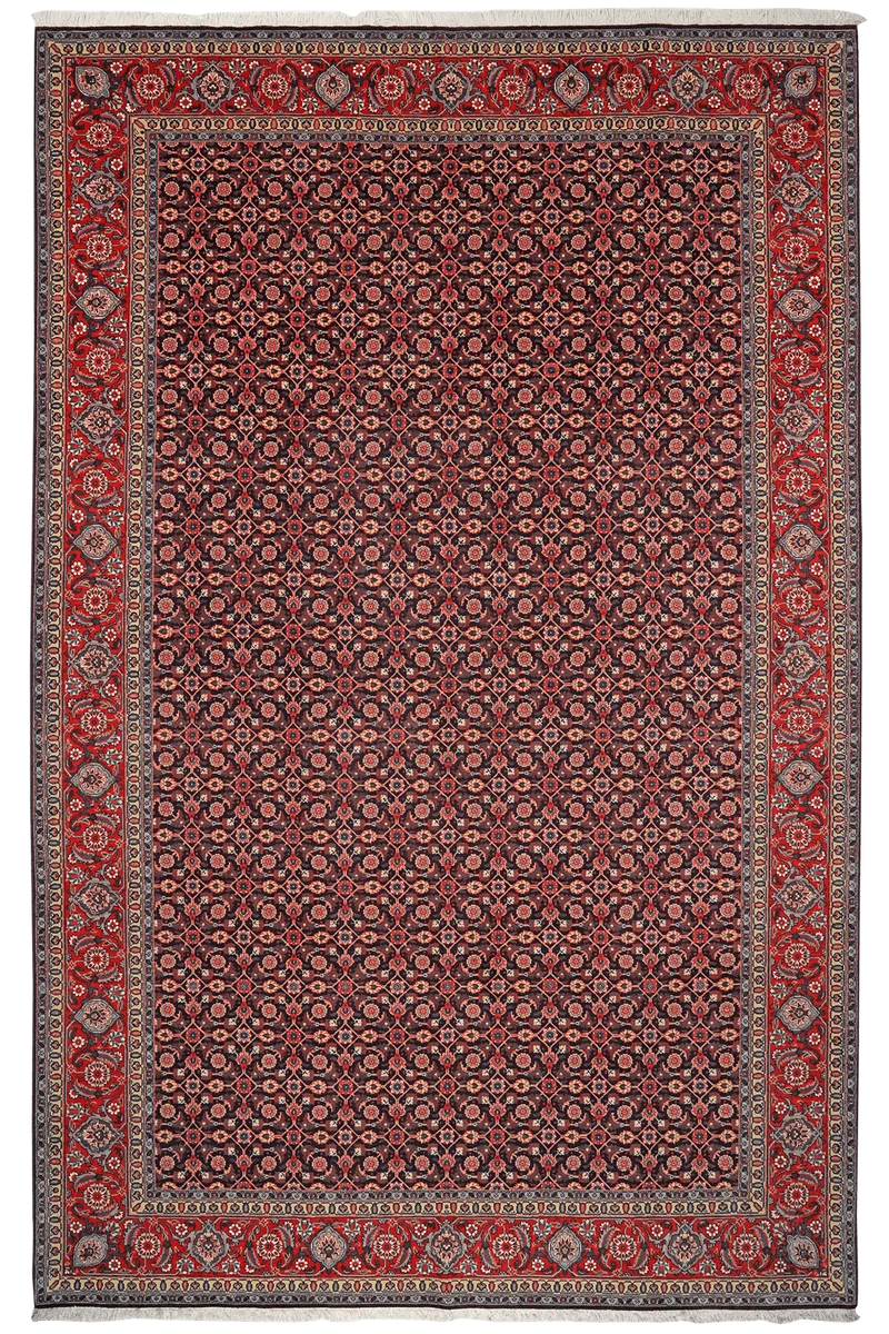 Tabriz 50 Raj · Handgeknüpft – Schwarz, 309x202 cm