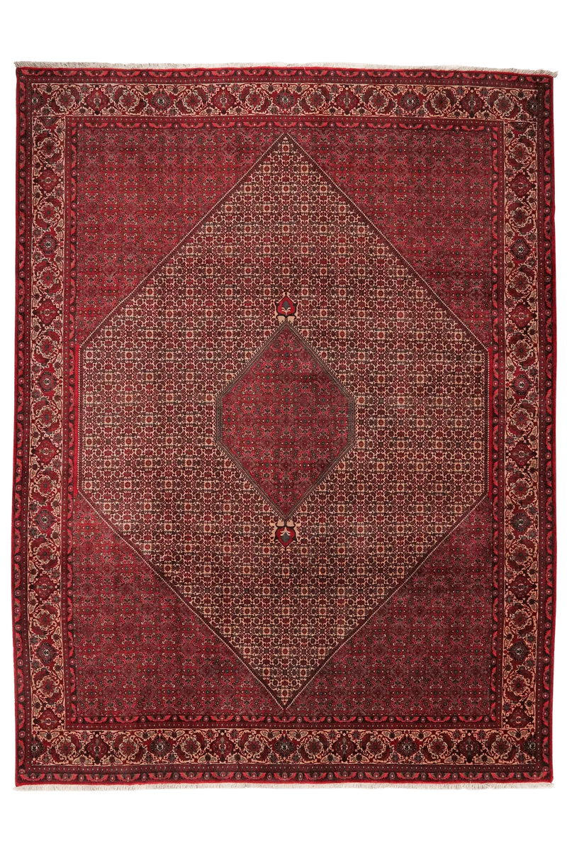 Bidjar · Handgeknüpft – Beige, 337x258 cm