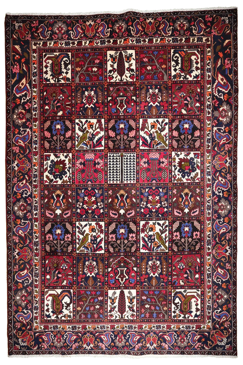 Bakhtiar · Handgeknüpft – Bunt, 312x211 cm