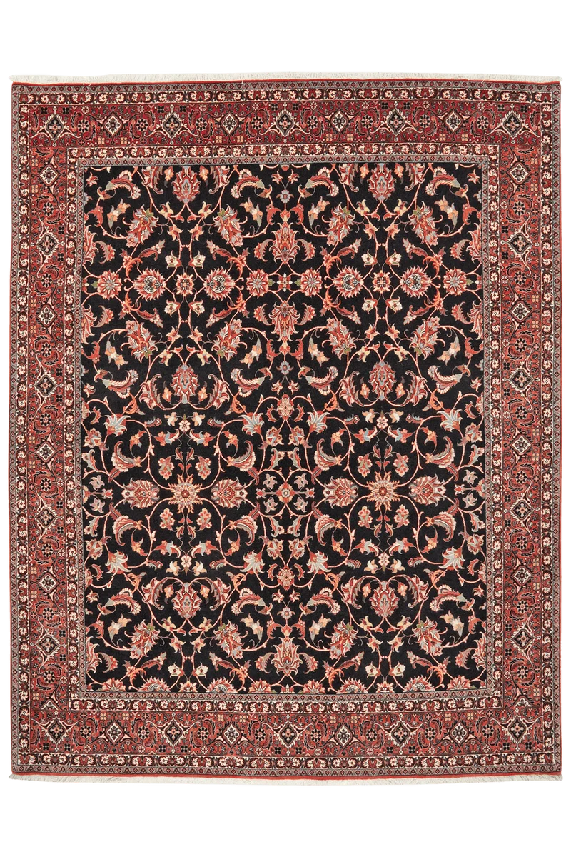 Bidjar Bookan · Handgeknüpft – Schwarz, 256x202 cm