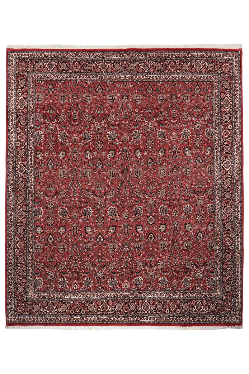 Bidjar · Handgeknüpft – Rot, 298x254 cm