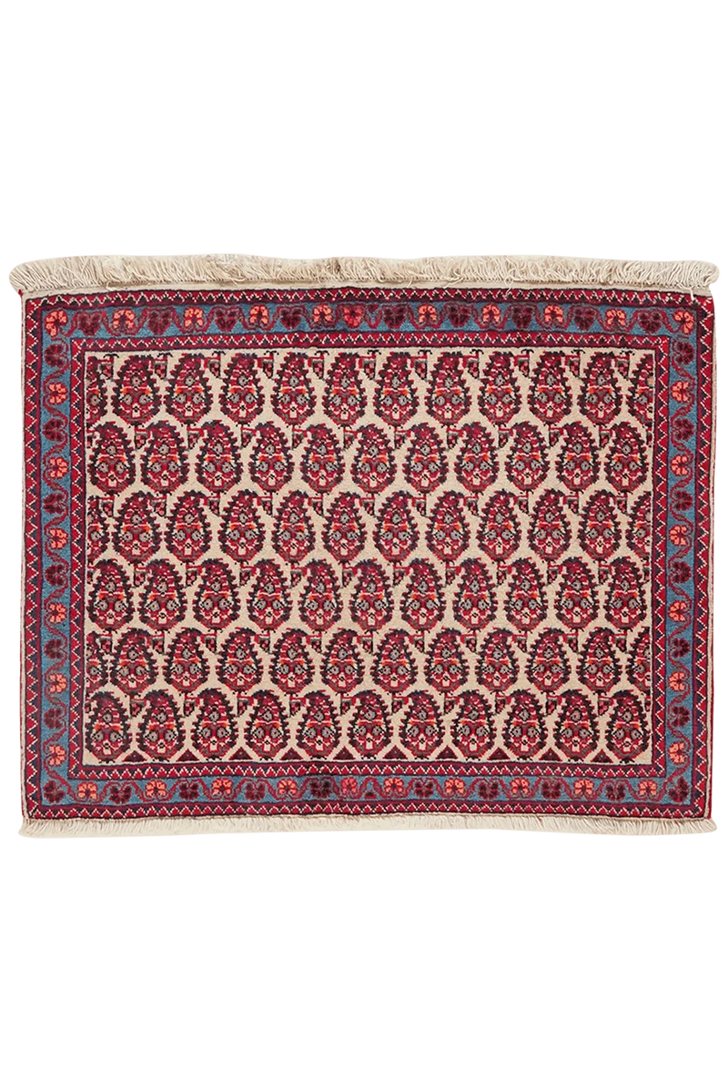 Farahan · Handgeknüpft – Beige, 81x62 cm