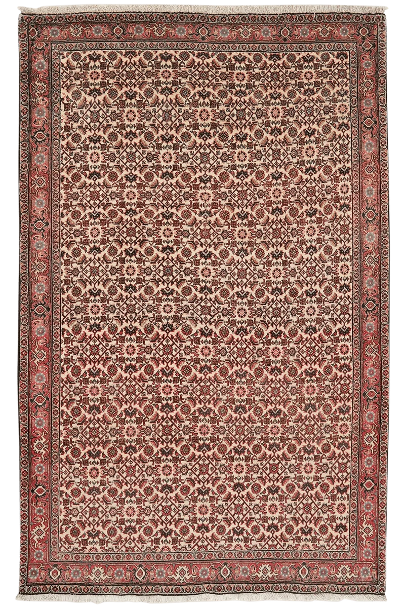 Bidjar · Handgeknüpft – Beige, 175x112 cm
