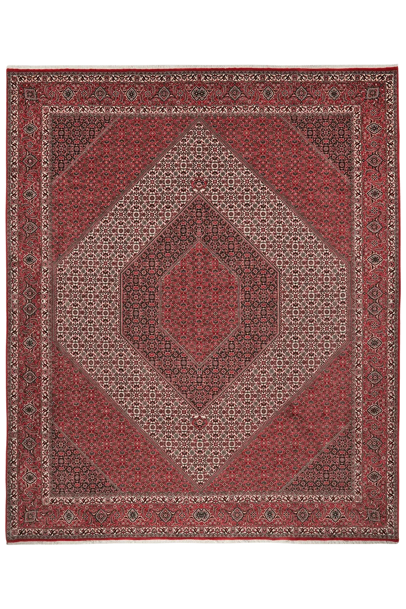 Bidjar · Handgeknüpft – Beige, 311x258 cm