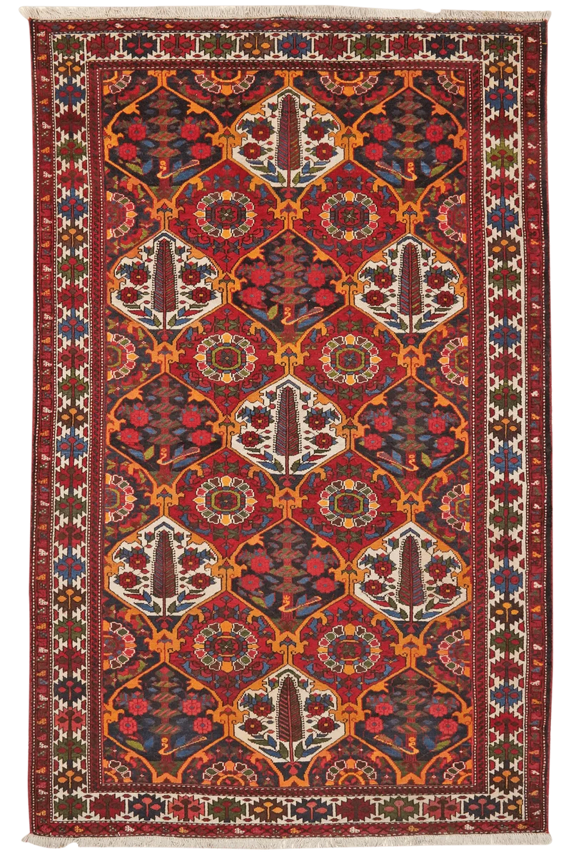 Bakhtiar · Handgeknüpft – Bunt, 229x145 cm