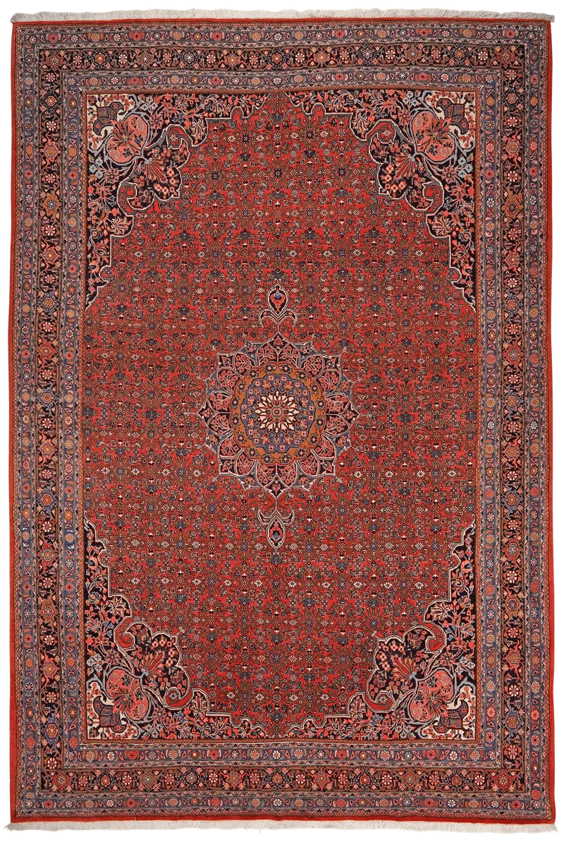 Bidjar · Handgeknüpft – Rot, 313x212 cm