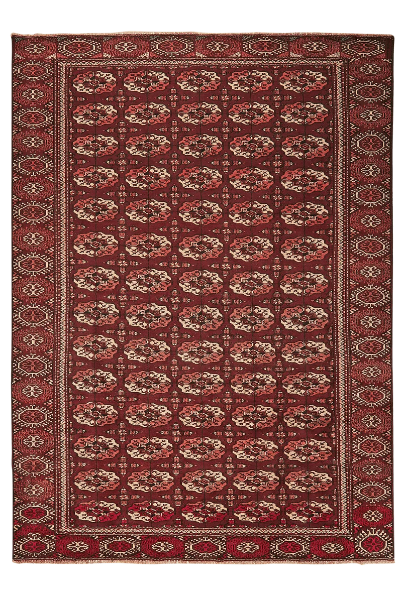 Turkman · Handgeknüpft – Braun, 267x194 cm