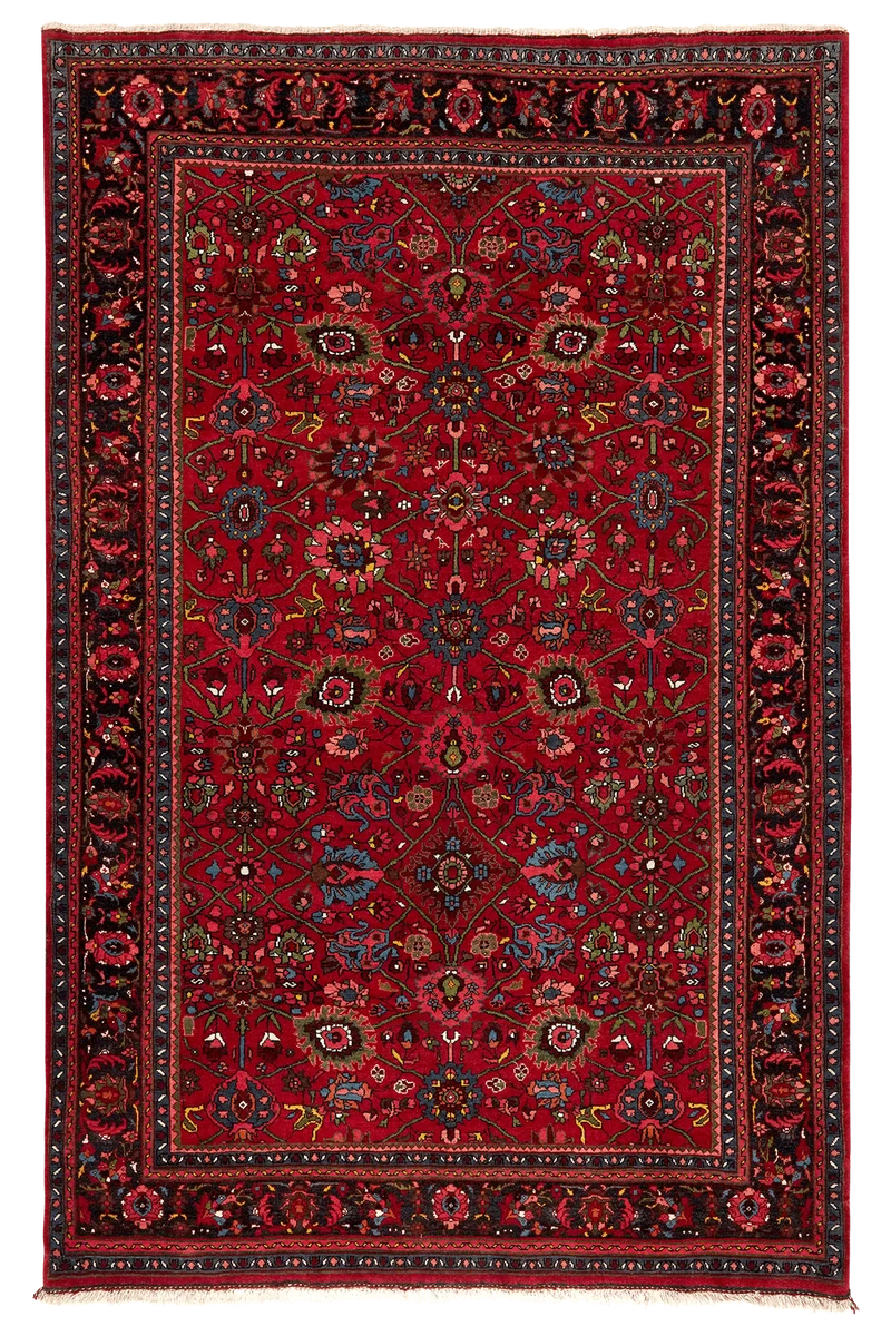 Bidjar · Handgeknüpft – Rot, 220x145 cm