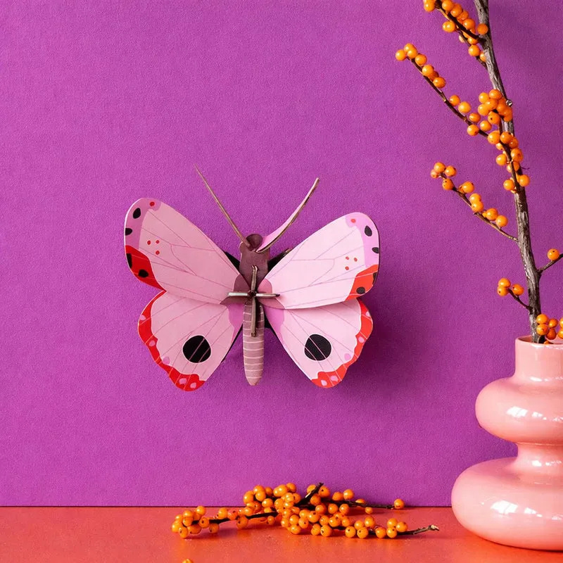 Rosaro Butterfly