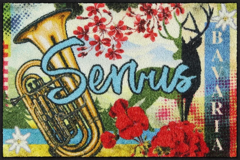 Eingangsmatte 50x75 Bavaria
